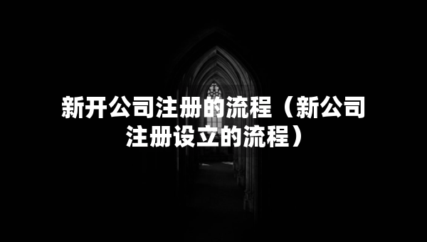 新开公司注册的流程（新公司注册设立的流程）