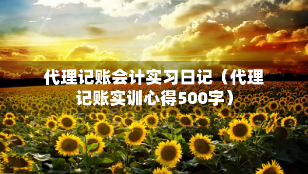 代理记账会计实习日记（代理记账实训心得500字）