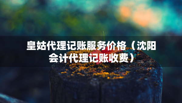 皇姑代理记账服务价格（沈阳会计代理记账收费）