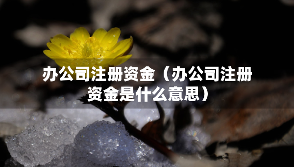 办公司注册资金（办公司注册资金是什么意思）