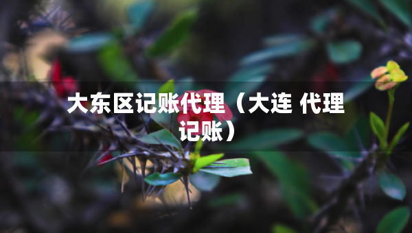 大东区记账代理（大连 代理记账）