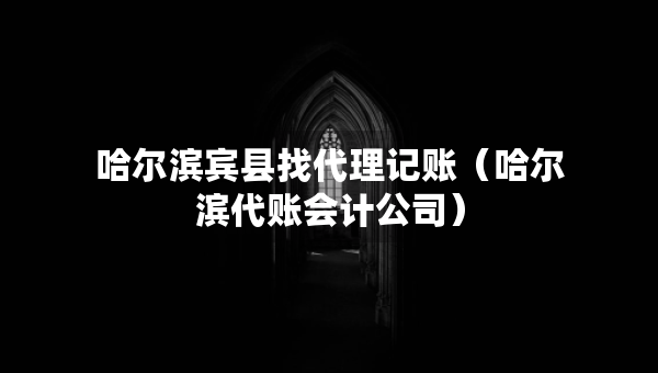 哈尔滨宾县找代理记账（哈尔滨代账会计公司）