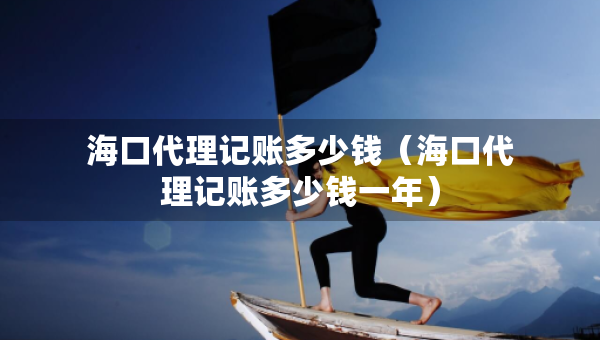 海口代理记账多少钱（海口代理记账多少钱一年）