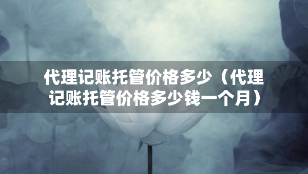 代理记账托管价格多少（代理记账托管价格多少钱一个月）