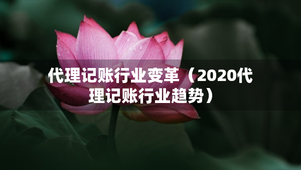 代理记账行业变革（2020代理记账行业趋势）