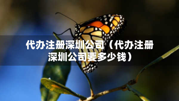 代办注册深圳公司（代办注册深圳公司要多少钱）