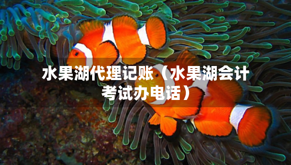 水果湖代理记账（水果湖会计考试办电话）