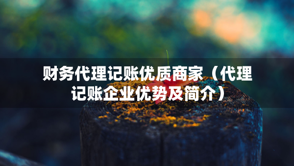 财务代理记账优质商家（代理记账企业优势及简介）