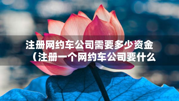 注册网约车公司需要多少资金（注册一个网约车公司要什么条件）