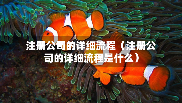 注册公司的详细流程（注册公司的详细流程是什么）