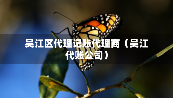 吴江区代理记账代理商（吴江代账公司）