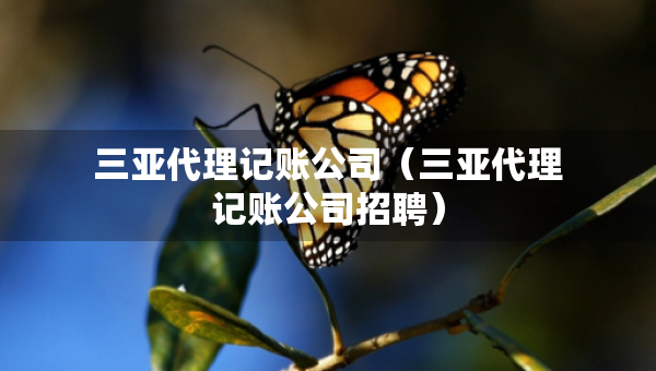 三亚代理记账公司（三亚代理记账公司招聘）