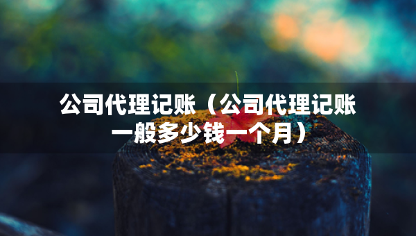 公司代理记账（公司代理记账一般多少钱一个月）