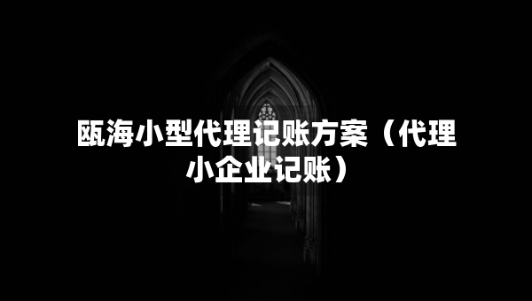 瓯海小型代理记账方案（代理小企业记账）