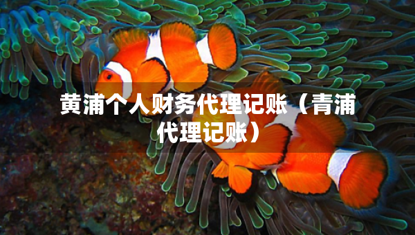 黄浦个人财务代理记账（青浦代理记账）