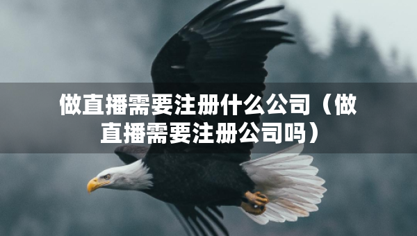 做直播需要注册什么公司（做直播需要注册公司吗）