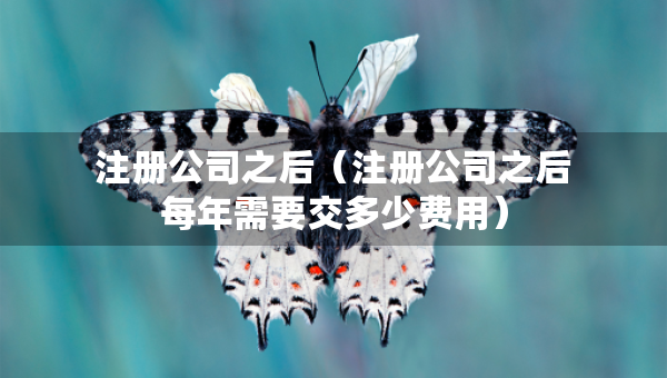 注册公司之后（注册公司之后每年需要交多少费用）