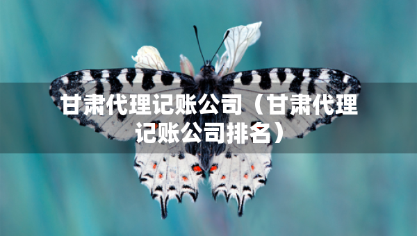 甘肃代理记账公司（甘肃代理记账公司排名）