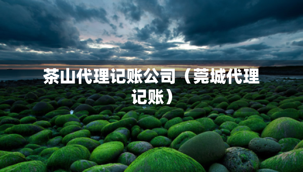 茶山代理记账公司（莞城代理记账）