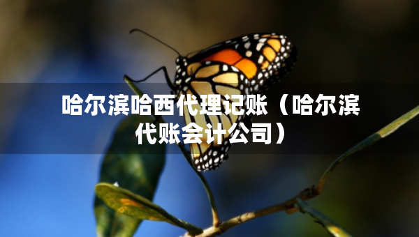 哈尔滨哈西代理记账（哈尔滨代账会计公司）