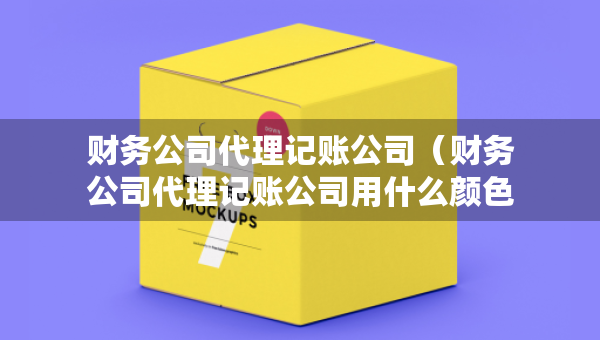 财务公司代理记账公司（财务公司代理记账公司用什么颜色）