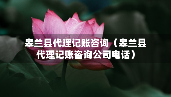 皋兰县代理记账咨询（皋兰县代理记账咨询公司电话）