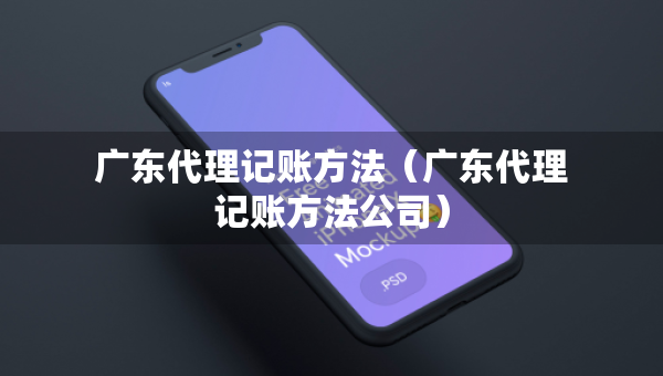 广东代理记账方法（广东代理记账方法公司）