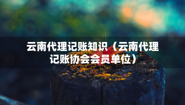 云南代理记账知识（云南代理记账协会会员单位）