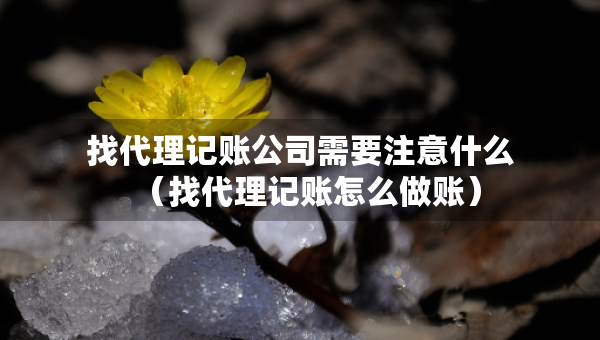 找代理记账公司需要注意什么（找代理记账怎么做账）