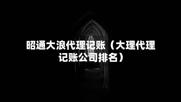 昭通大浪代理记账（大理代理记账公司排名）