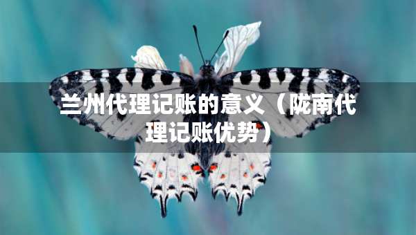 兰州代理记账的意义（陇南代理记账优势）