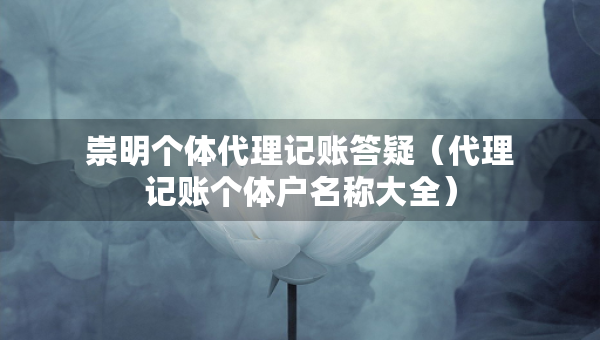 崇明个体代理记账答疑（代理记账个体户名称大全）