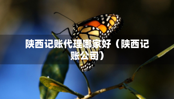 陕西记账代理哪家好（陕西记账公司）