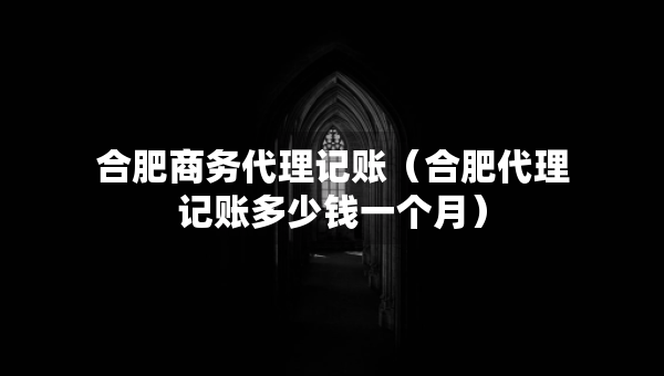 合肥商务代理记账（合肥代理记账多少钱一个月）