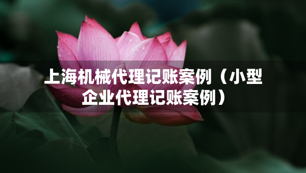 上海机械代理记账案例（小型企业代理记账案例）