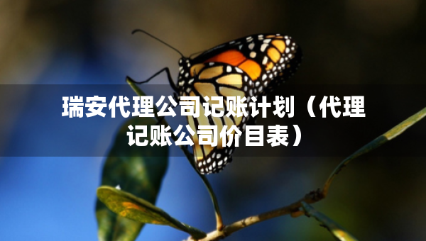 瑞安代理公司记账计划（代理记账公司价目表）