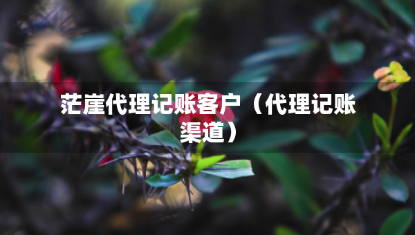 茫崖代理记账客户（代理记账渠道）