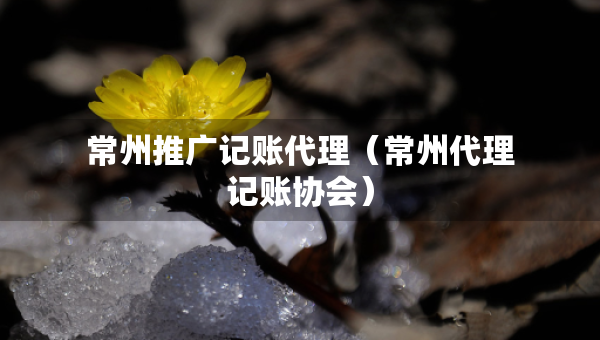 常州推广记账代理（常州代理记账协会）