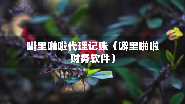 噼里啪啦代理记账（噼里啪啦财务软件）