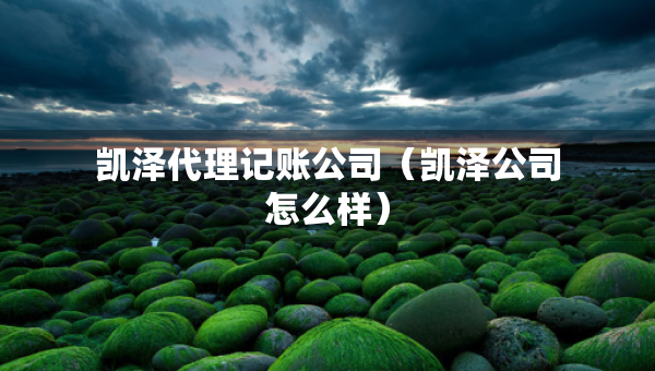 凯泽代理记账公司（凯泽公司怎么样）