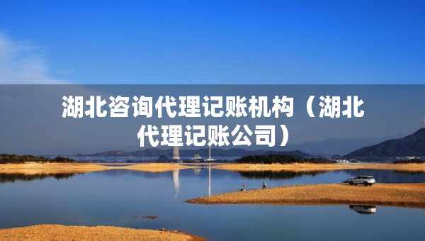 湖北咨询代理记账机构（湖北代理记账公司）