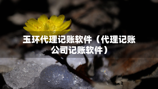 玉环代理记账软件（代理记账公司记账软件）