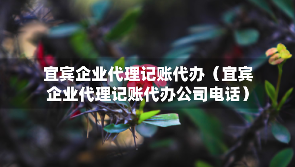 宜宾企业代理记账代办（宜宾企业代理记账代办公司电话）