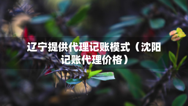 辽宁提供代理记账模式（沈阳记账代理价格）