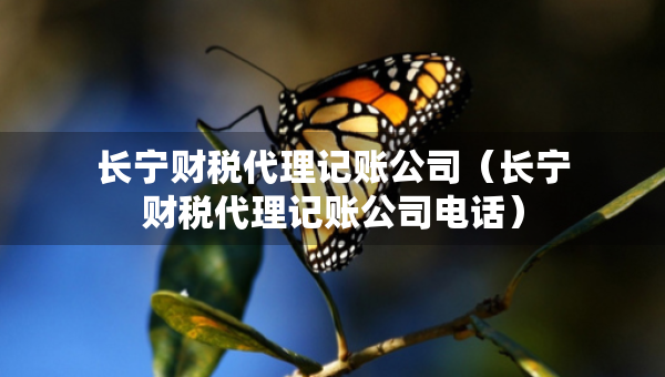 长宁财税代理记账公司（长宁财税代理记账公司电话）