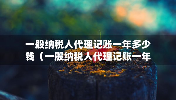 一般纳税人代理记账一年多少钱（一般纳税人代理记账一年多少钱一个月）