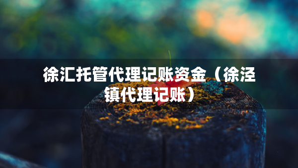 徐汇托管代理记账资金（徐泾镇代理记账）