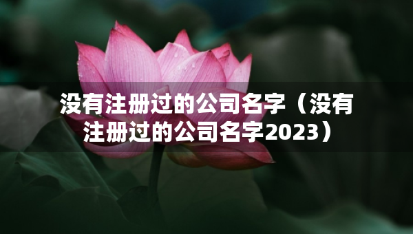 没有注册过的公司名字（没有注册过的公司名字2023）