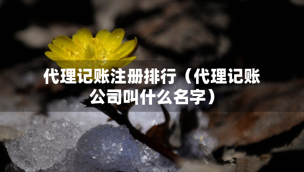 代理记账注册排行（代理记账公司叫什么名字）