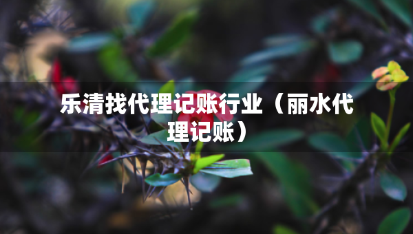 乐清找代理记账行业（丽水代理记账）